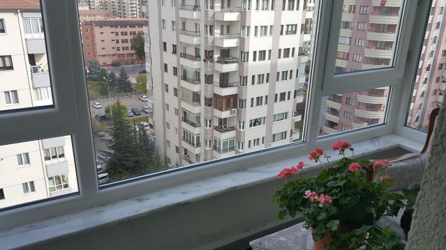 Rehau Synego